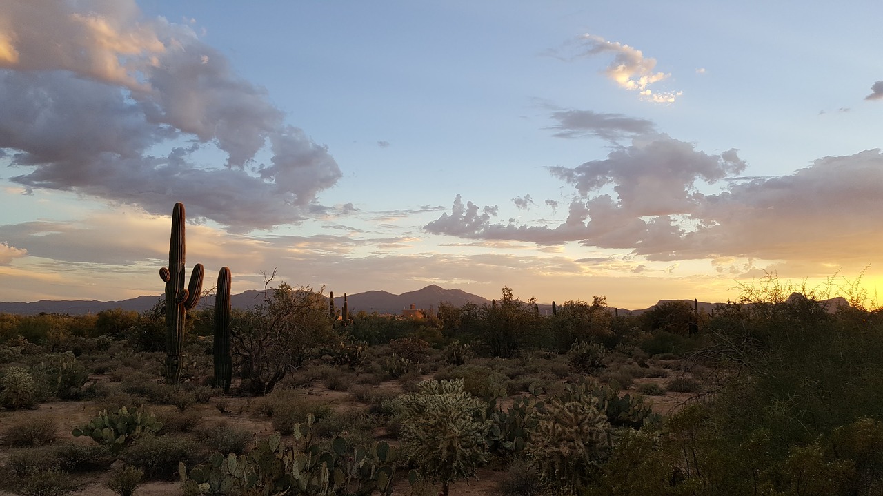 Planning Scottsdale Vacations on a Budget
