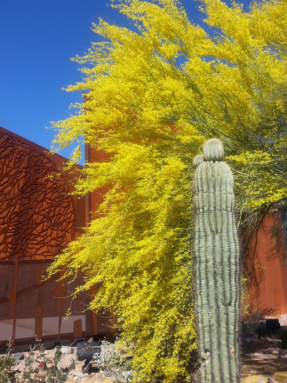 Spring Journey to Enjoy Great Things to See in Scottsdale