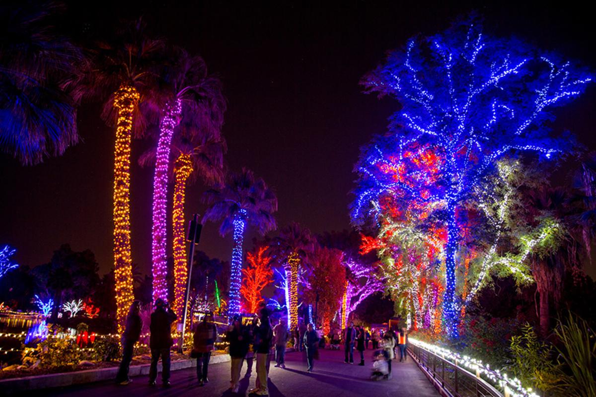 Unwrap Holiday Joy: Christmas Celebrations in Scottsdale 2024